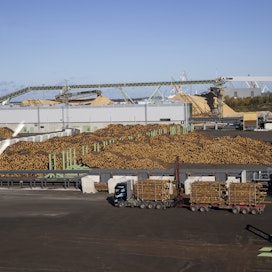 Metsä Groupin Rauman sahan tuotanto käynnistyi syyskuun lopussa. Saha käyttää vuodessa noin 1,5 miljoonaa kuutiometriä mäntytukkeja.