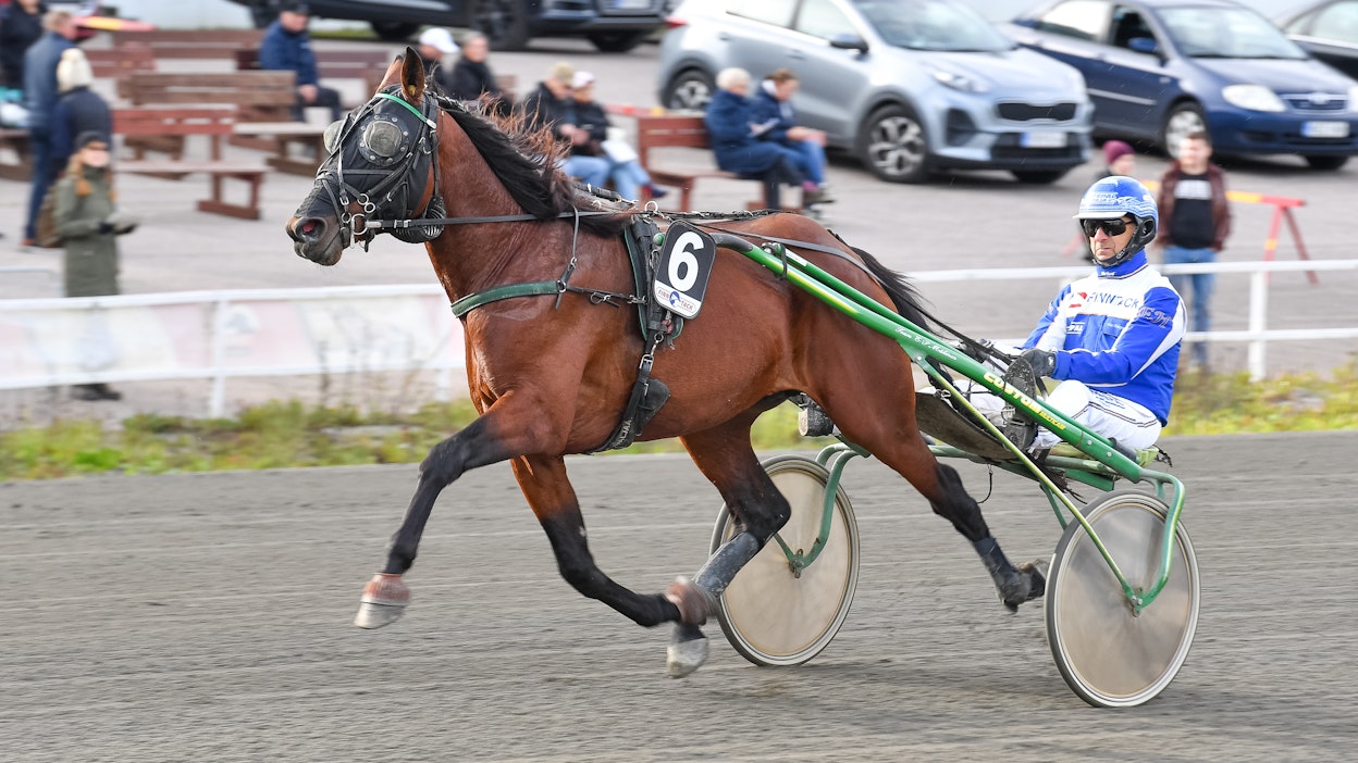 Mansester on kolmannen Toto5-kohteen ennakkosuosikki.