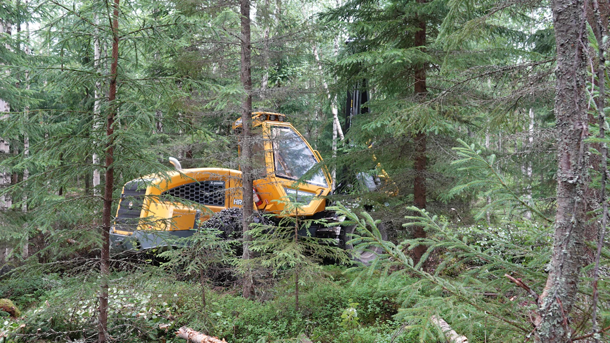 Sampon suosittu nelipyöräinen HR-harvesteri on saanut yhden akselin lisää. Kuusipyöräisiä Sampoja on ulkomaan savotoilla jo kaksi kappaletta.