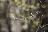Maan etelä- ja keskiosassa vallitsee lämpimähkö läntinen ilmavirtaus ja laajalti on osittain aurinkoista.