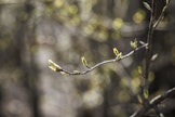 Maan etelä- ja keskiosassa vallitsee lämpimähkö läntinen ilmavirtaus ja laajalti on osittain aurinkoista.