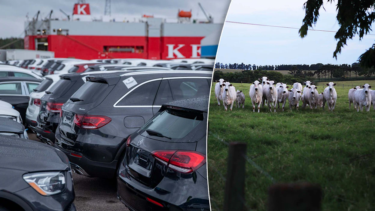 Mercosur-sopimuksen on määrä helpottaa autojen vientiä Etelä-Amerikkaan ja naudanlihan tuontia EU-alueelle.
