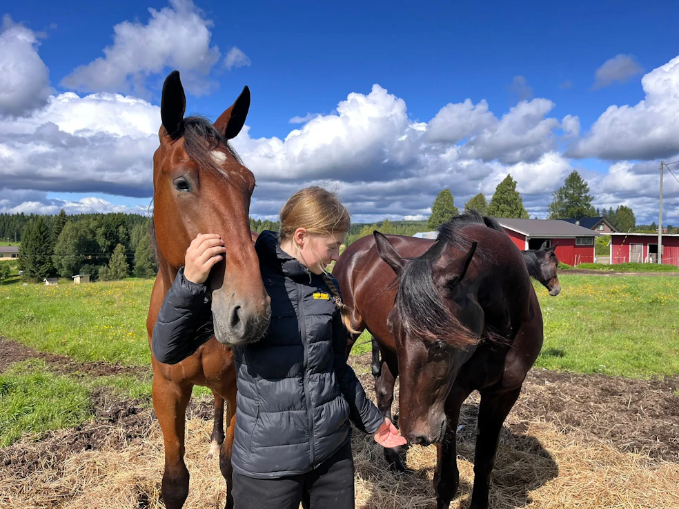Elina Pakkasen elämä on aina kytkeytynyt kiinteästi hevosiin. Tässä hän on saanut seurakseen Applausen (vas.), Andoverianin ja Ray Of Sunshinen.