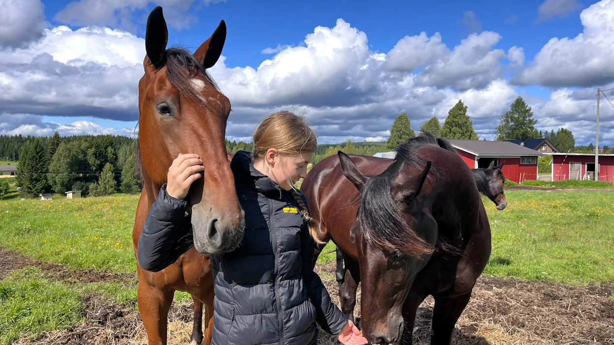 Elina Pakkasen elämä on aina kytkeytynyt kiinteästi hevosiin. Tässä hän on saanut seurakseen Applausen (vas.), Andoverianin ja Ray Of Sunshinen.