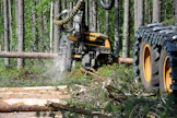 Sahayrityksiä pidetään tarkempina tukin katkojina kuin selluyhtiöitä. Metsänomistajan etu on, että mahdollisimman pieni osa rungosta päätyy tukkia vähäarvoisemmaksi kuitu- tai energiapuuksi. Kuvan hakkuukone katkoi mäntytukkia sahayritys Hasan hakkuutyömaalla Haapajärvellä perjantaina.