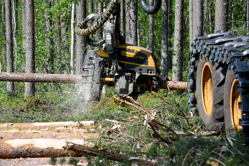 Sahayrityksiä pidetään tarkempina tukin katkojina kuin selluyhtiöitä. Metsänomistajan etu on, että mahdollisimman pieni osa rungosta päätyy tukkia vähäarvoisemmaksi kuitu- tai energiapuuksi. Kuvan hakkuukone katkoi mäntytukkia sahayritys Hasan hakkuutyömaalla Haapajärvellä perjantaina.