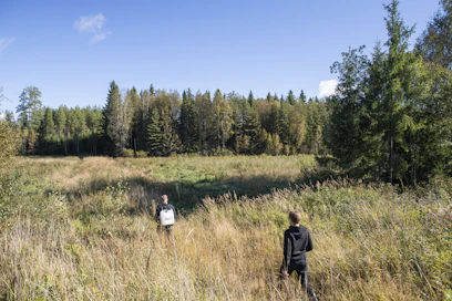 Metsitystuella kasvatetaan metsäalaa ja vahvistetaan hiilinieluja.