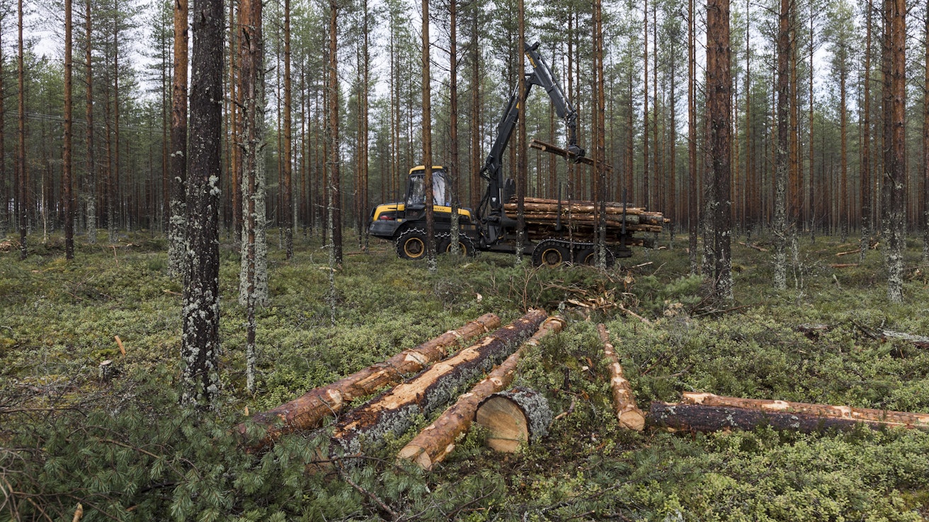 Kuution käyttö on metsänomistajalle maksutonta. Kilpailutuksen voi teettää myös metsänhoitoyhdistyksellä.