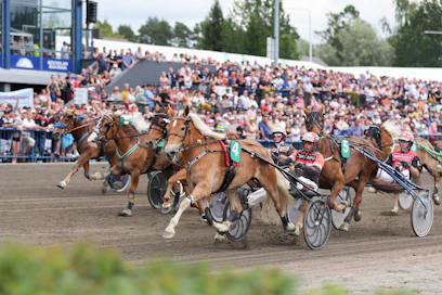 Kuningatarkilvan maililla ja kokonaiskisassakin on tasaista. Kuningatar Suven Sametti veti maaliin asti toisessa osakilvassa, mutta haastajia tulee todella lähituntumassa monta, kuten kuvasta näkyy!