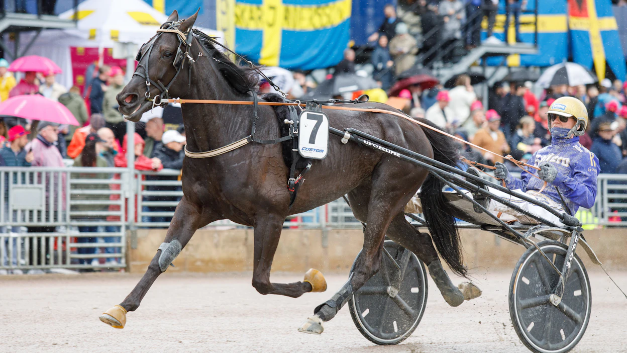 Betting Pacer ja Björn Goop kevään 2022 Elitloppet-lauantailta, jolloin tammaa valmensi vielä Niklas Robertsson.