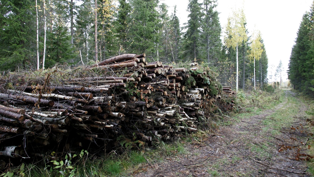 Huhti-kesäkuussa energiapuukauppoja kirjautui tilastoihin huomattavasti vähemmän kuin vuotta aiemmin. Se laski koko alkuvuoden lukemaa selvästi.