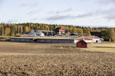 Kasvukausikyselyssä kaksi kolmasosa sikatiloista arvioi taloutensa tavanomaista heikommaksi. Kuvituskuva.