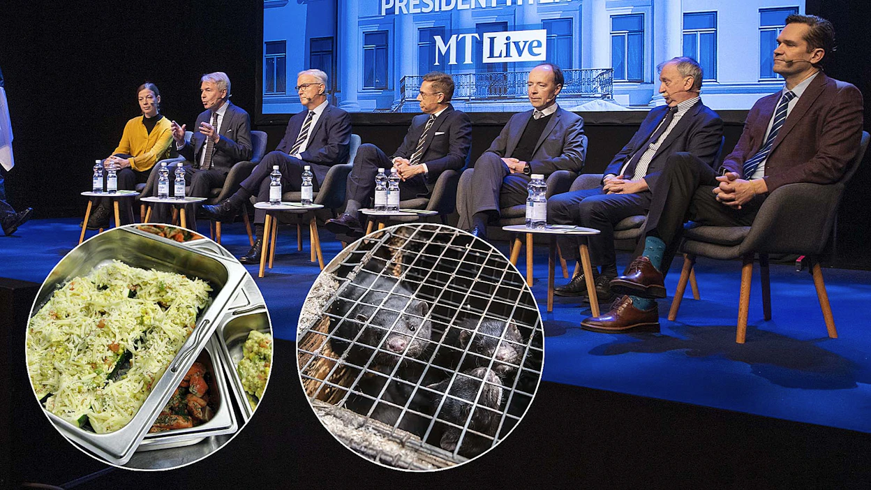 Presidenttiehdokkaat vastasivat Animalian eläinpoliittiseen kyselyyn. Kuvassa ehdokkaat ovat osallistumassa Maaseudun Tulevaisuuden vaalitenttiin marraskuussa.