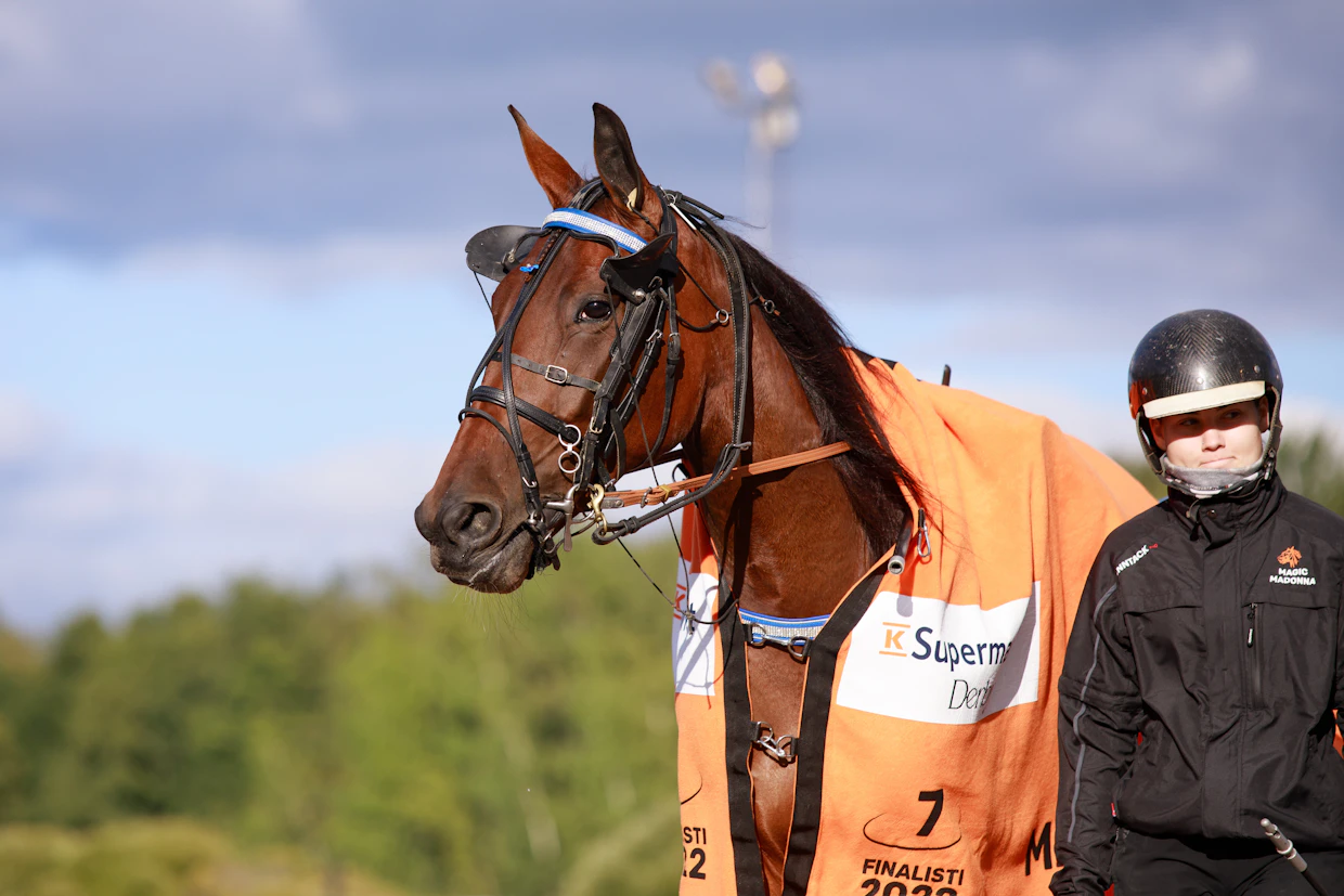Birgitta Honkaperä hoiti Corazon Combon lisäksi muun muassa vuoden 2022 Derbyn finaalissa viidenneksi sijoittunutta kuvan Magic Madonnaa.
