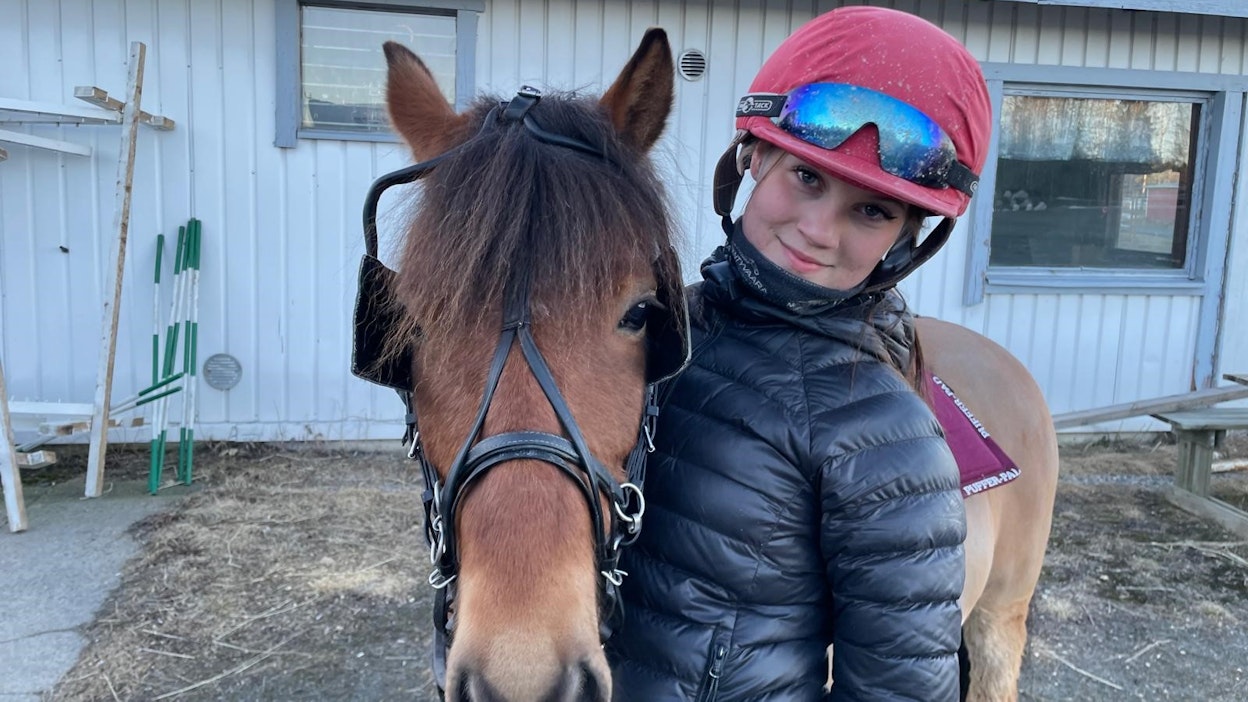 Daalia Koivupalon Matheo on aloittanut raviuransa lupaavasti.