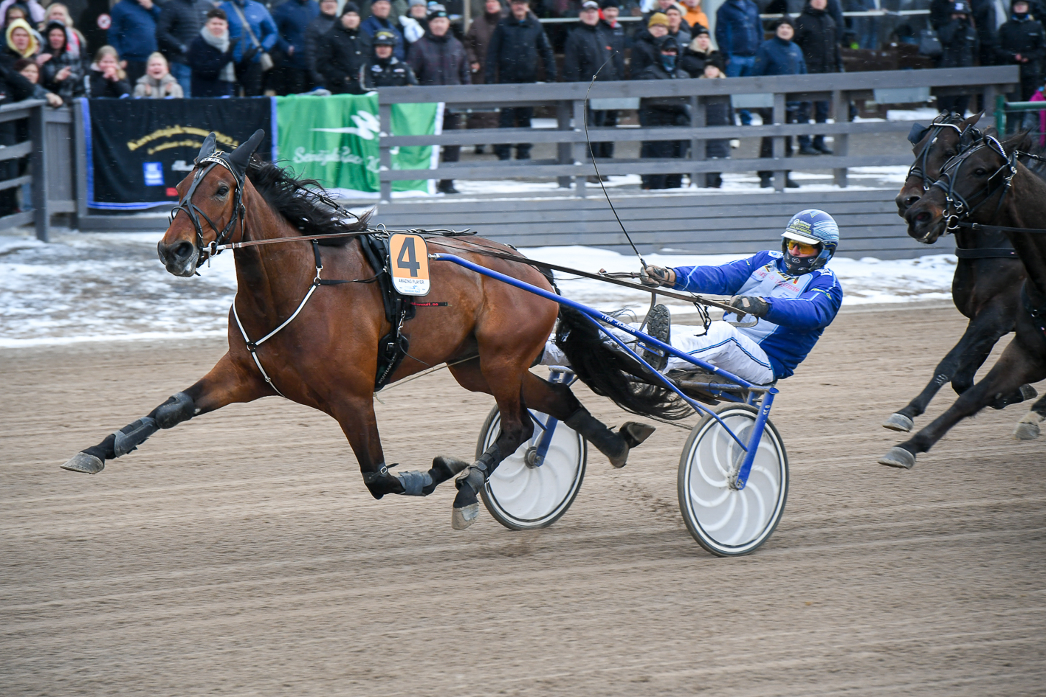 Amazing Playerin voittoputki katkesi Seinäjoki Raceen. Lauantaina ruuna yrittää palata voittojen tielle.