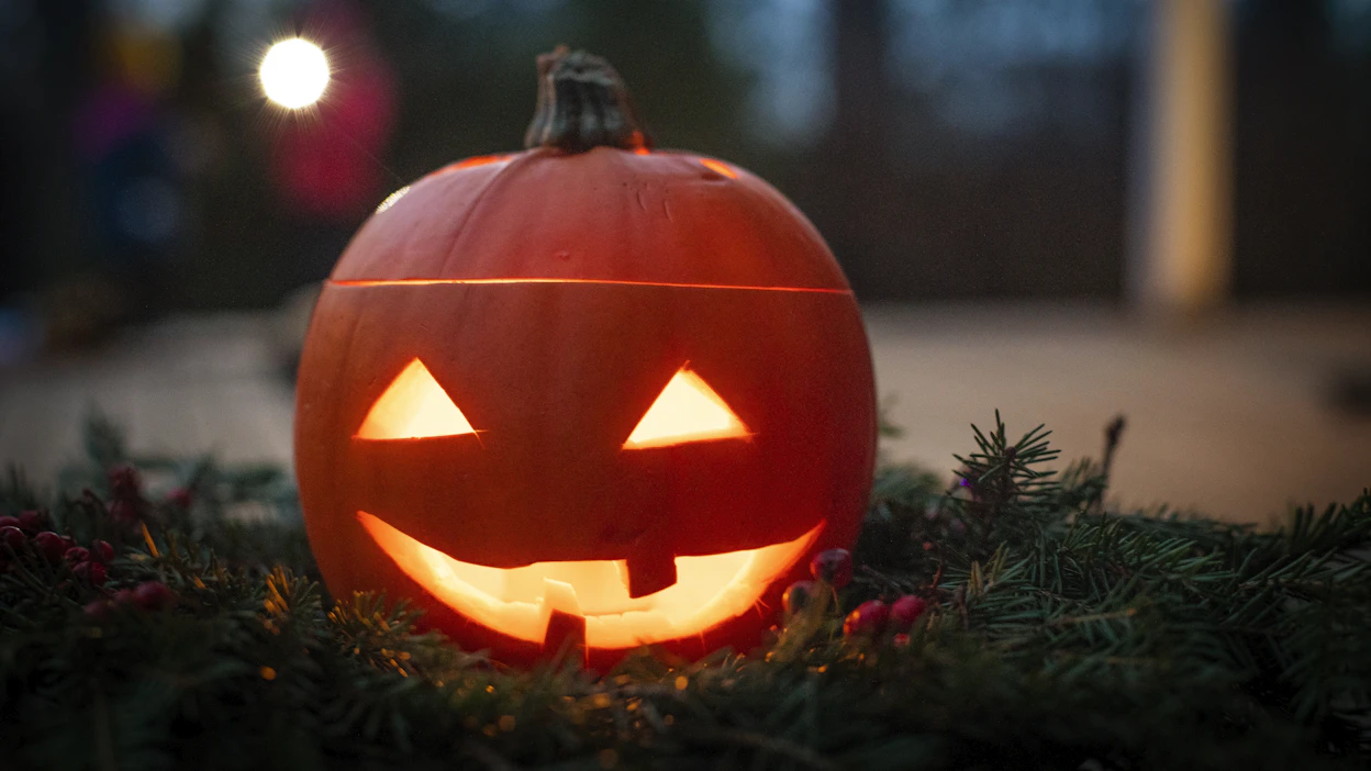 Yhdysvalloissa ostetaan yli puoli miljardia kiloa kurpitsoja joka vuosi ennen halloweenia.