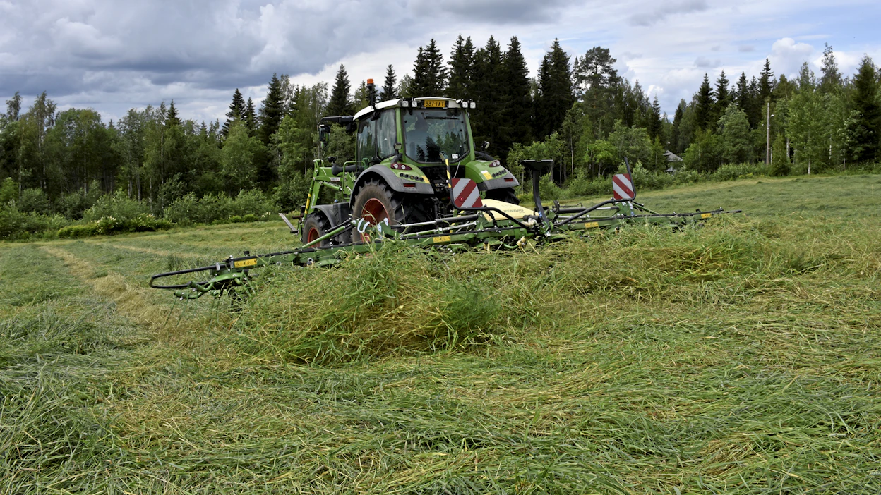 Nurmen viljely on noussut tikun nokkaan tukieuroista puhuttaessa. Näiden eurojen siirtely taskusta toiseen ei kuitenkaan ratkaise maatalousalan ahdinkoa. Arkistokuva.
