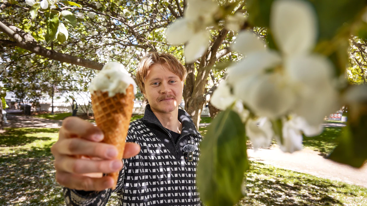 Vaniljajäätelö on yksi suosituimpia jäätelömakuja. Kuvituskuvassa Aapo Nieminen.