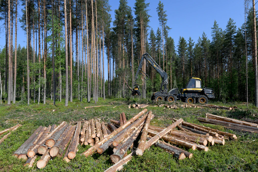 Metsä Groupin tarkastuksissa korjuujälki on huomattavasti Metsäkeskuksen tuloksia parempi. Alkuvuonna suositusten mukaan tehtyjen harvennusten osuus nousi jo 75 prosenttiin.
