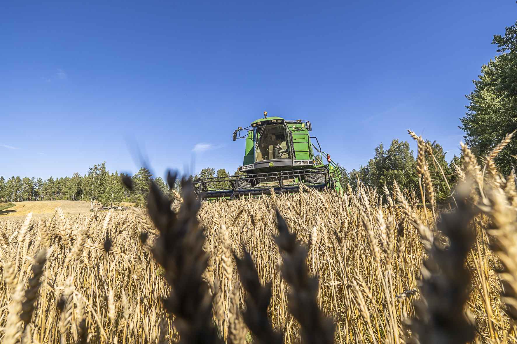 Konekapasiteetin oikea mitoitus on yksi tärkeimmistä tekijöistä tuotannon kannattavuutta ja sen parantamista tarkasteltaessa, kirjoittaa Sari Peltonen Pro Agriasta.