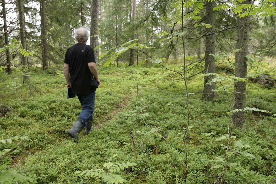 Luontosuhdebarometriin vastanneista 41 prosenttia liikkuu luonnossa useita kertoja viikossa.