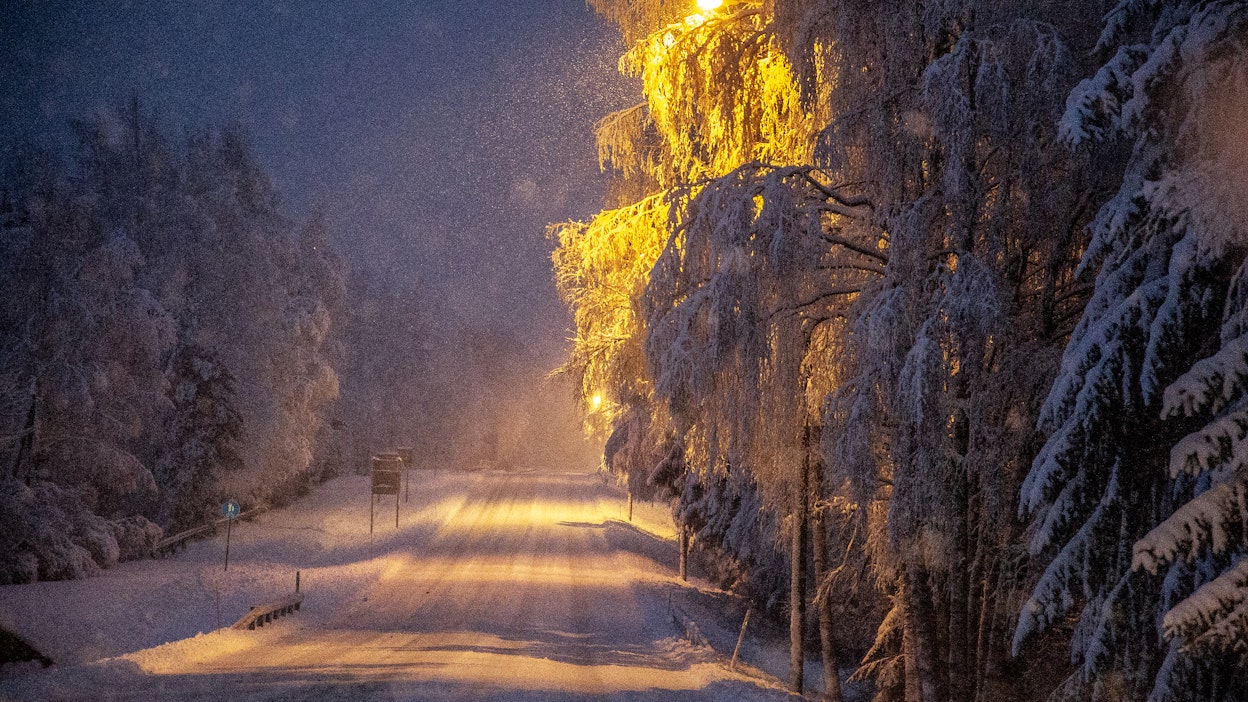 Ensilumi saattoi tänä vuonna jäädä pysyväksi lumipeitteeksi etelässä. Näin käy, jos ennusteet joulukuun kylmemmistä ilmoista toteutuvat.