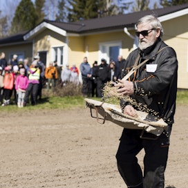 Maanviljelijä Esko Jääskelä kylvi siunattua ohraa yleisön edessä Haapavedellä torstaina.