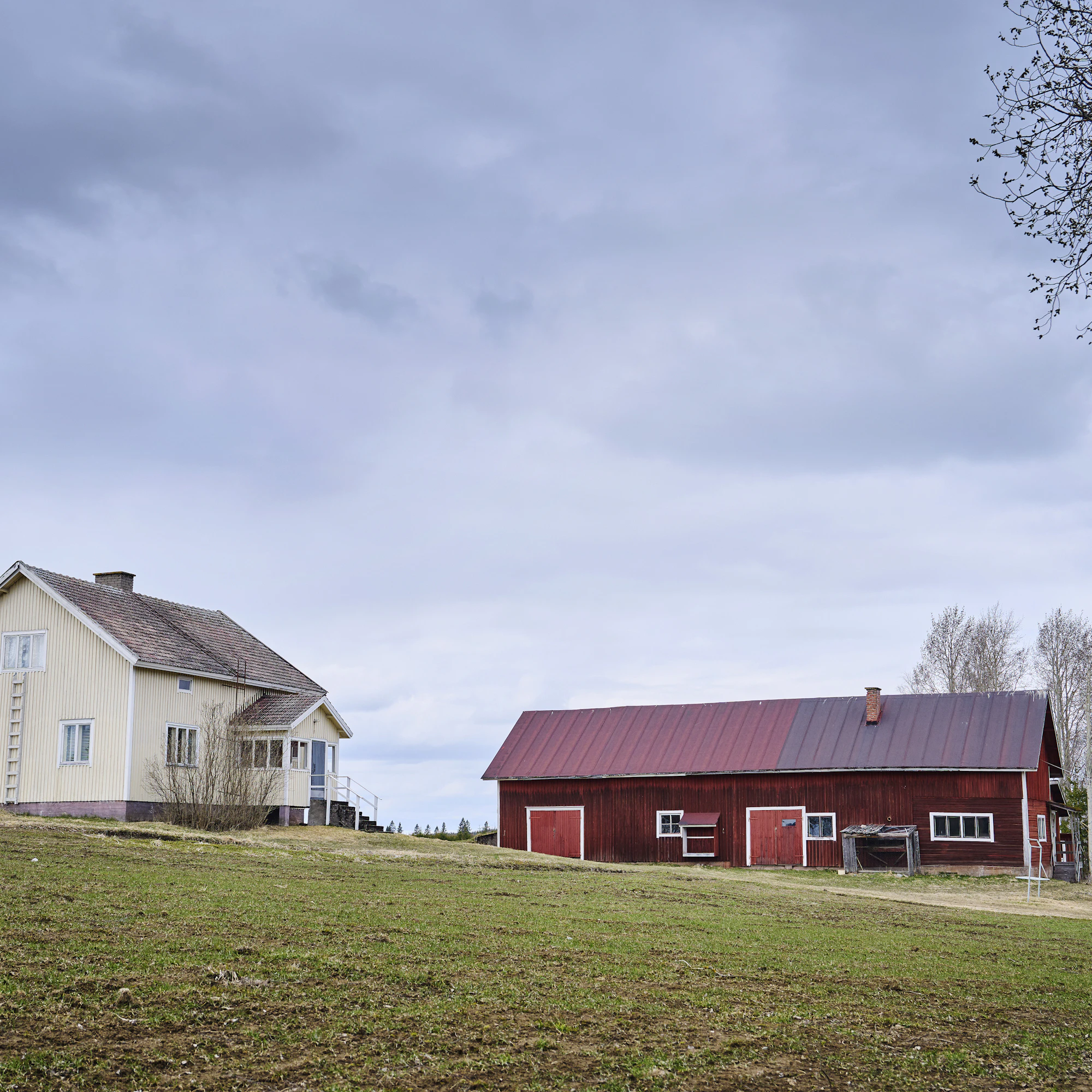Alarannan tilalla Lapinlahdella sijaitsevalle asutusmuseolle ei ole tuota lainkaan esineitä ulkopuolelta.