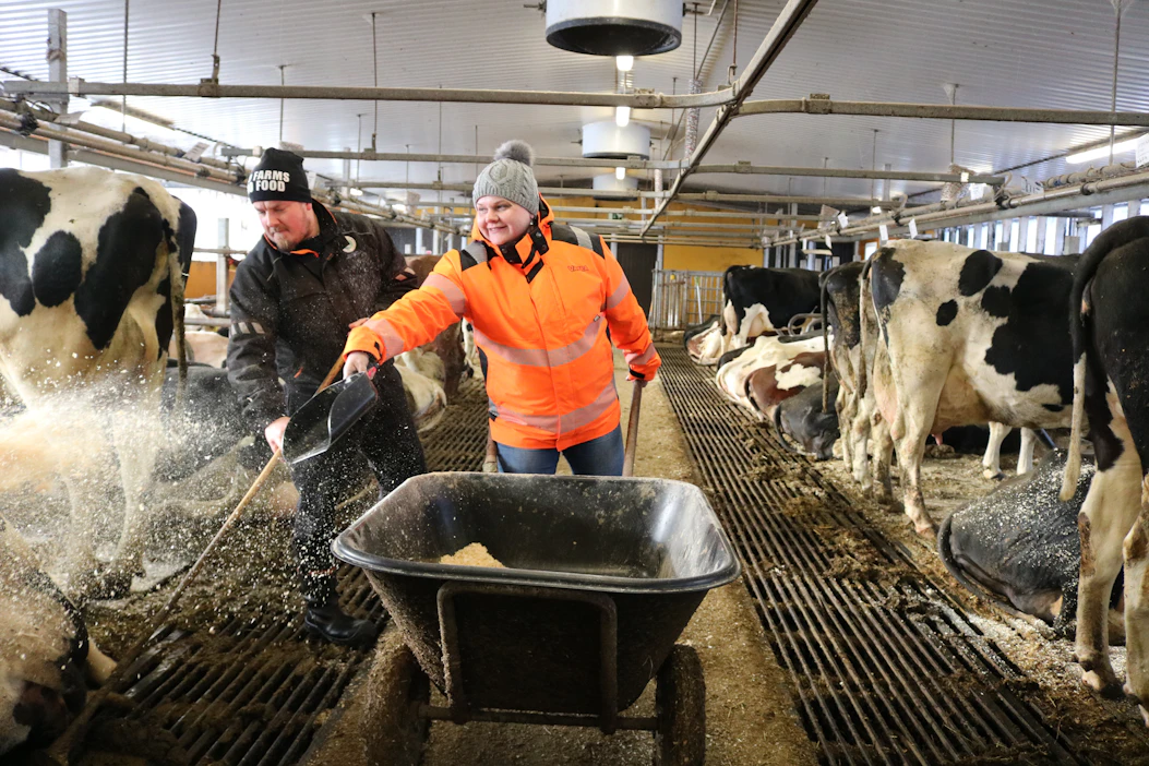 Luukisen tilan isäntäväki sanoo töiden sujuvan myös parsinavetassa hyvin mallikelpoisesti. Kuusi vuotta sitten valmistunut navetta on toiminnoiltaan helppo ja uudenaikainen.