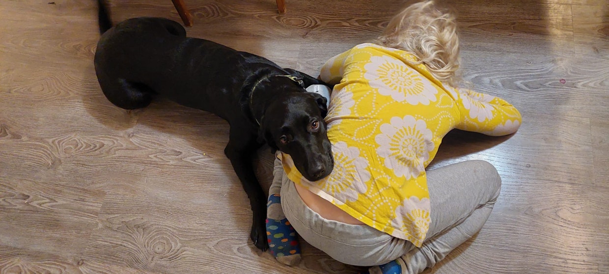 Avustajakoira Papu lohduttaa Viljaa.