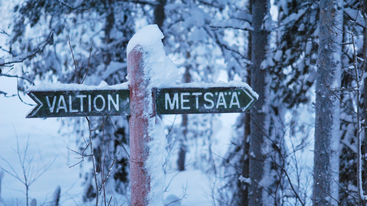 Valtion hallinnoimissa talousmetsissä ohjataan metsien käsittelytapoihin, jotka vahvistavat nettonielua.