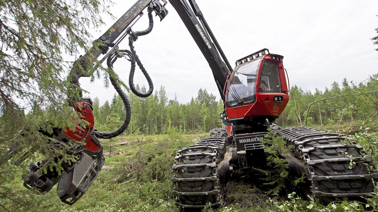 Avohakkuilla on edelleen omat etunsa metsänhoidossa.