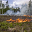 Kirjoittajat ennakoivat, että ennallistamisen todelliset haasteet voivat alkaa vasta, kun ennallistamishankkeiden käytännön toteutus alkaa.