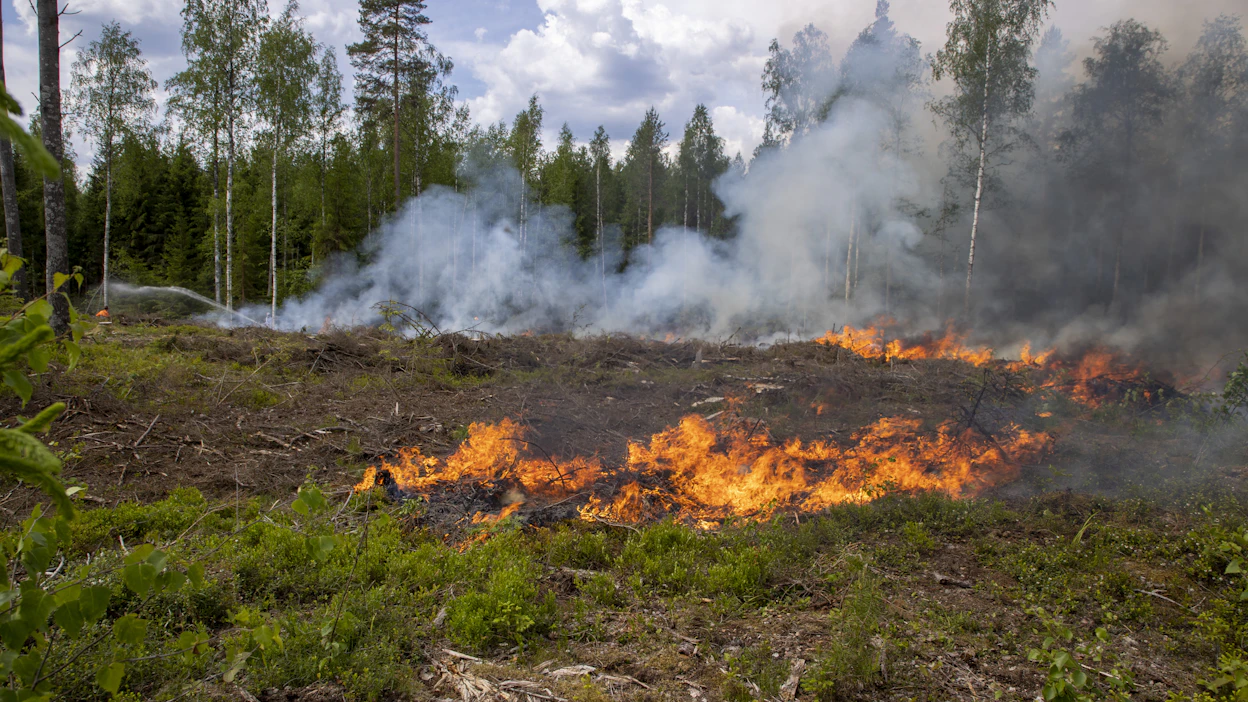 Kirjoittajat ennakoivat, että ennallistamisen todelliset haasteet voivat alkaa vasta, kun ennallistamishankkeiden käytännön toteutus alkaa.