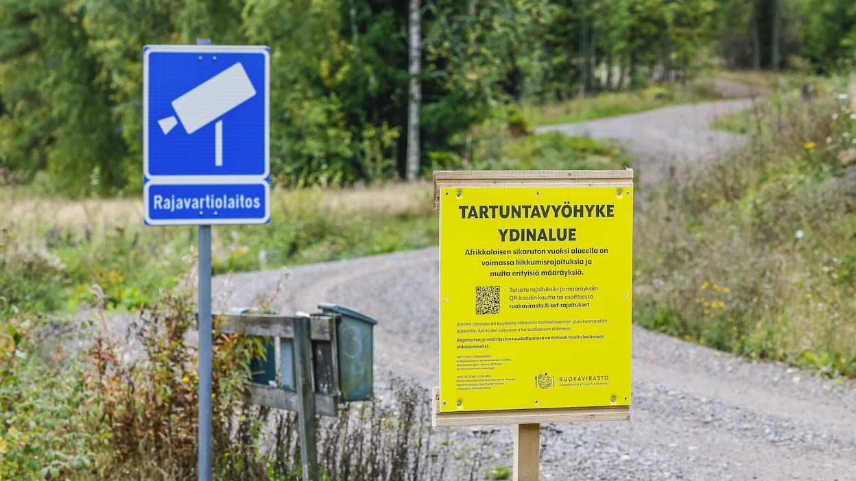 Afrikkalaisen sikaruton tartuntavyöhykkeen ydinalueelle on pystytetty liikkumisrajoituksista muistuttavia kylttejä.