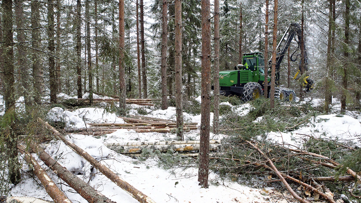 Uudet harvennusmallit perustuvat tuoreeseen tutkimustietoon ja Luken uusiin kasvumalleihin.