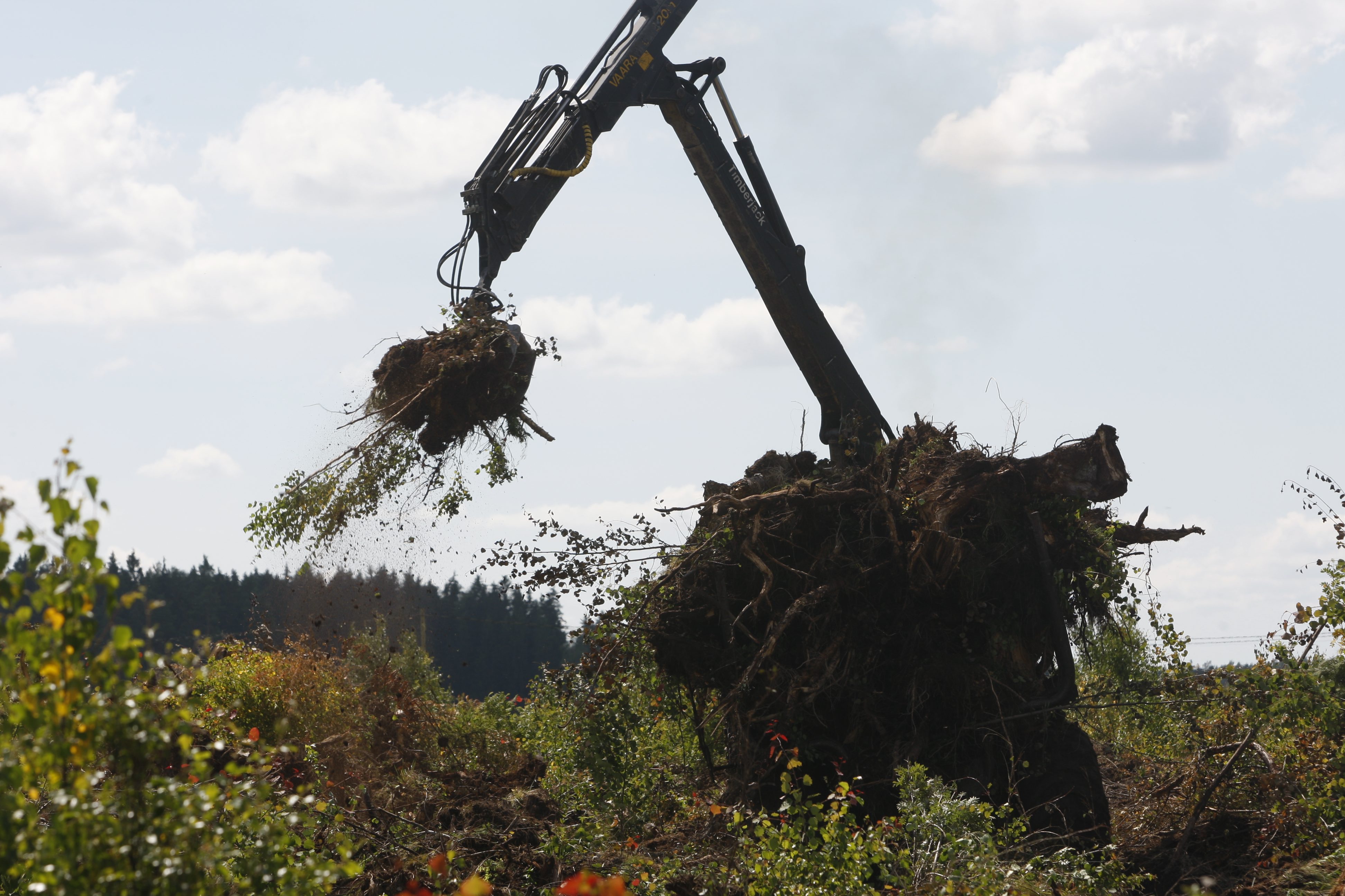 Työryhmä esittää 5 000 euron hehtaarikohtaista maksua yli puoli hehtaaria metsää hävittäville hankkeille.