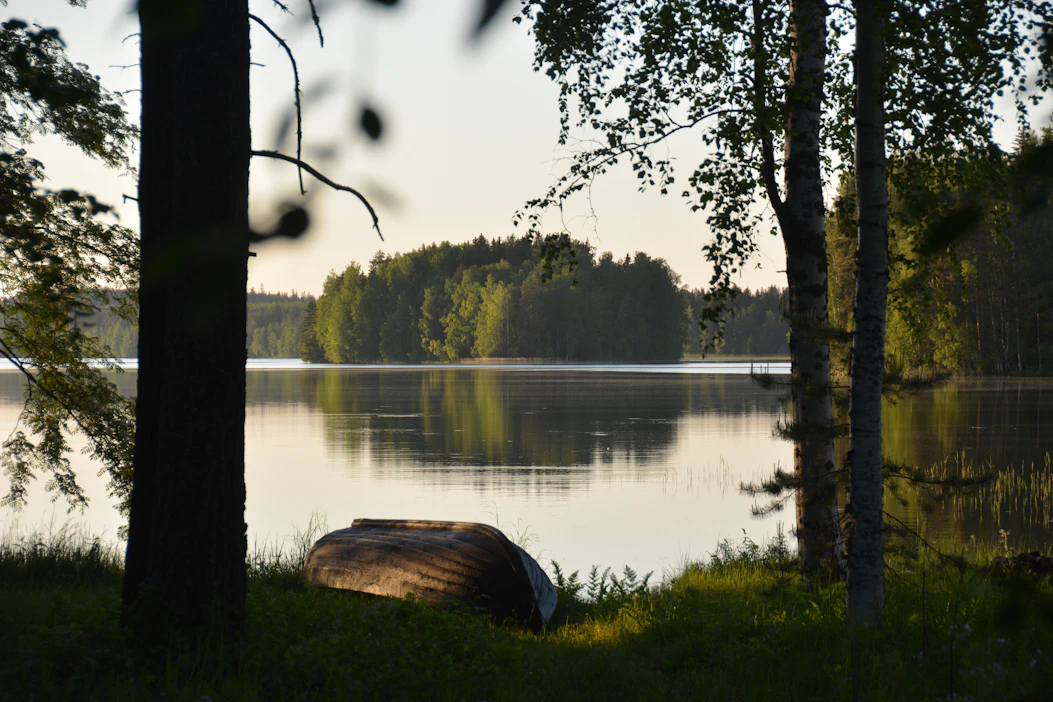 Pieni metsätila voi joutua todistamaan verottajalle, että siellä kasvatetaan puuta.