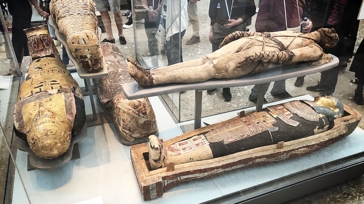 Ranskan kuninkaalla Frans I:llä oli aina muumiojauhepussi mukana, jotta haavanhoito onnistuu välittömästi, Kauniit ja muumiot -podcastissa kerrotaan. Muumioita sarkofageissa British Museumissa. 