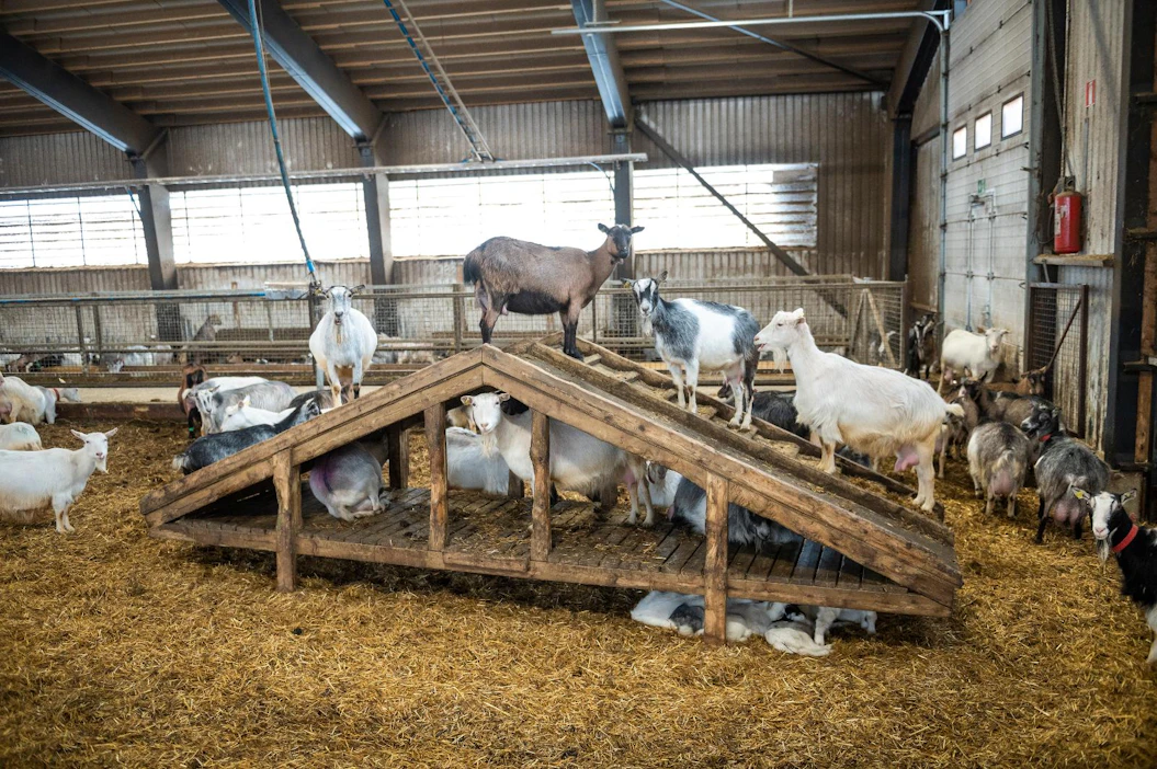 Suurin osa valvotuista kohteista valikoitui tarkastettavaksi riskiperusteisesti. Kuva ei liity tapaukseen.