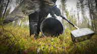 Ammattiliitot vaativat yrityksiä torjumaan marjanpoimintaan liittyvän työvoiman hyväksikäyttöä.