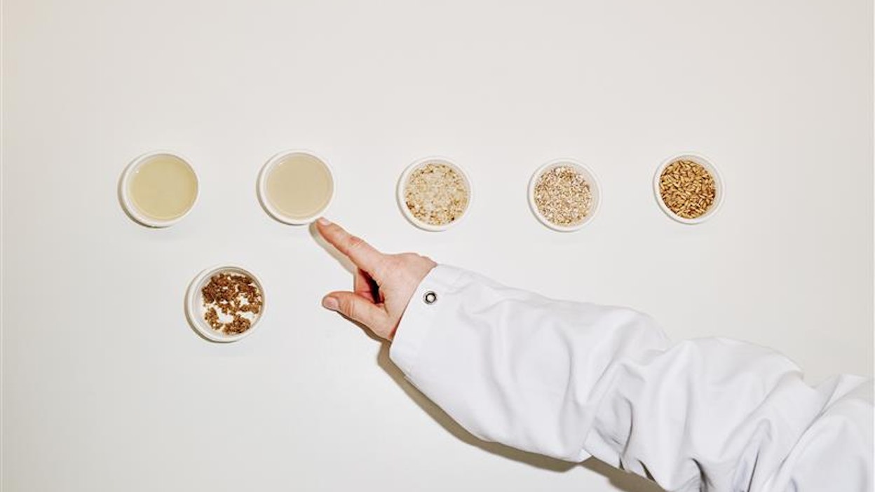 Kaurajuoman tuotantoprosessin askelet: vasemmalla valmis juoma, alhaalla kauranjyvä, josta prosessi alkaa.