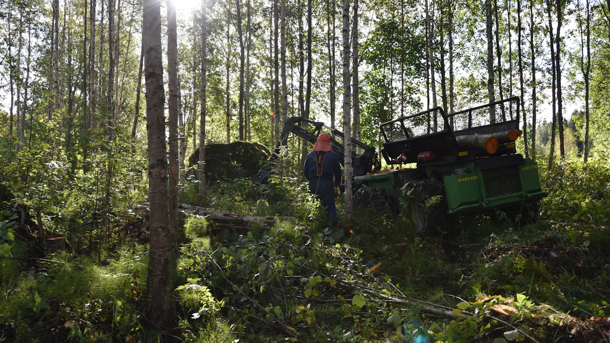 Ohjelma tarjoaa opiskelijoille syvällistä tietoa nykyaikaisista metsänhoitokäytännöistä, Itä-Suomen yliopisto kertoo.