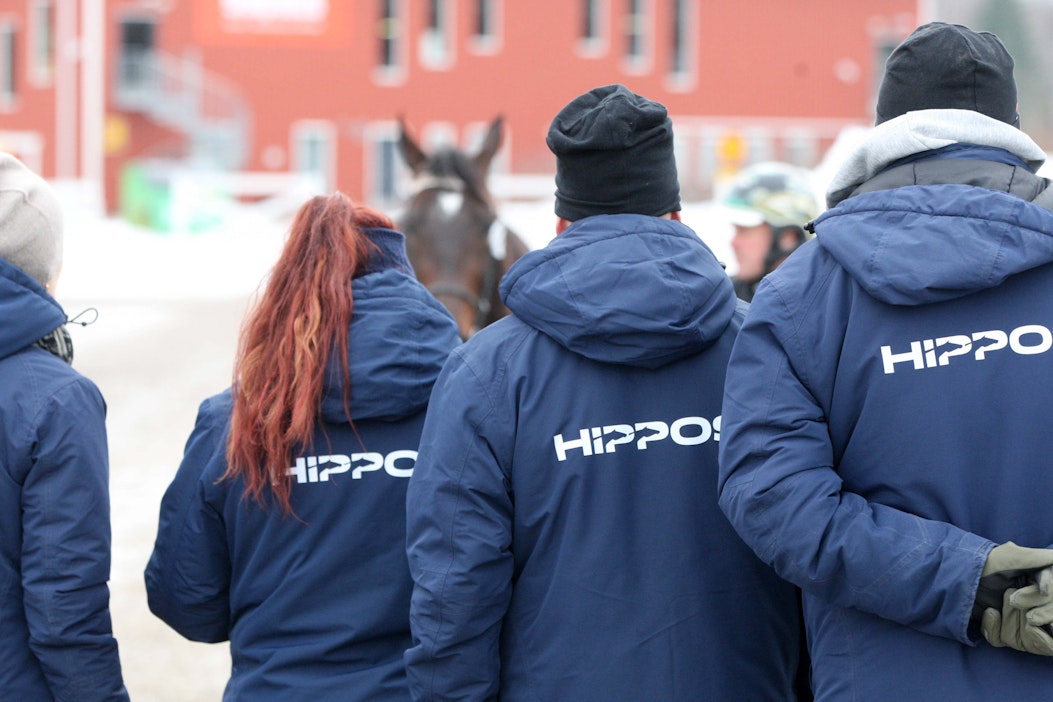 Suomen Hippos aloittaa muutosneuvottelut: ”Koko hevostalous on ison  muutoksen keskellä