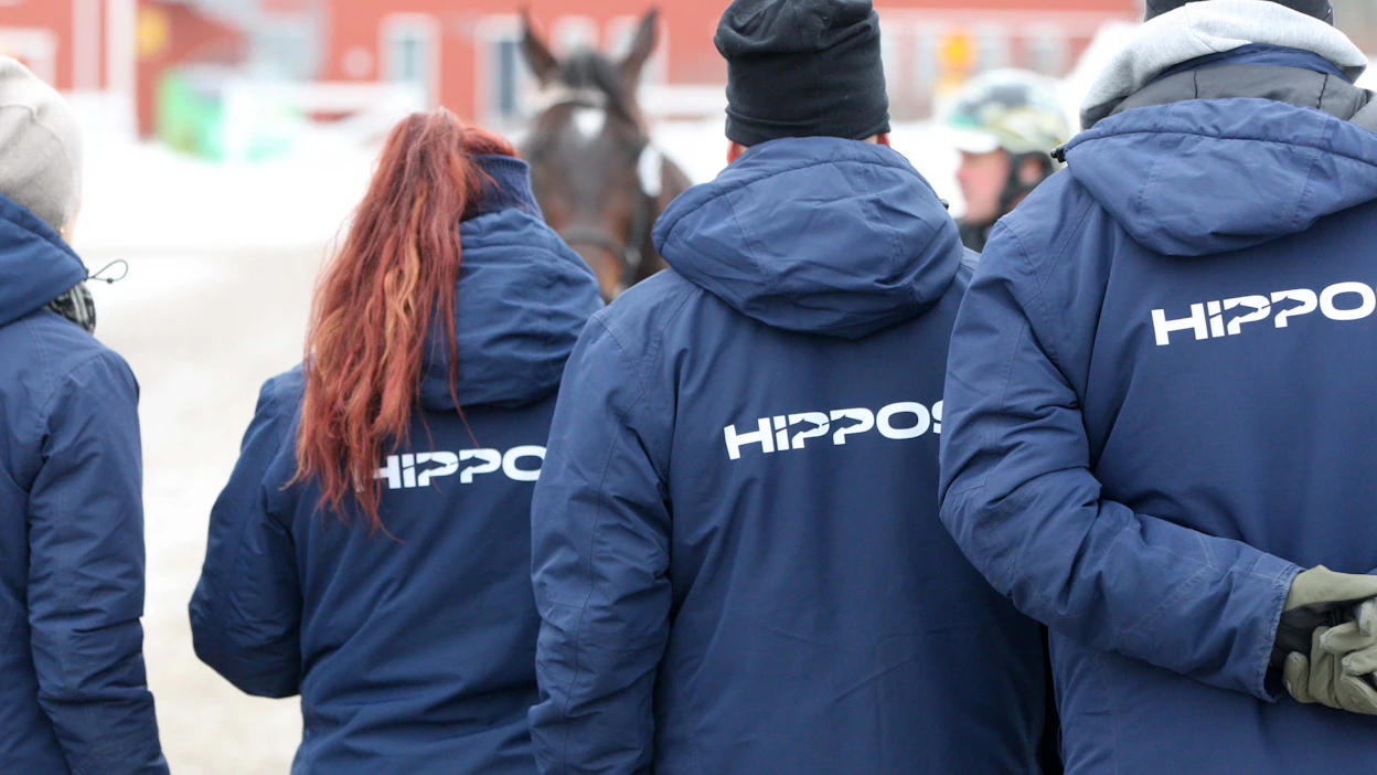 Suomen Hippos aloittaa muutosneuvottelut. Kuvituskuva on alkuvuoden orinäyttelystä.
