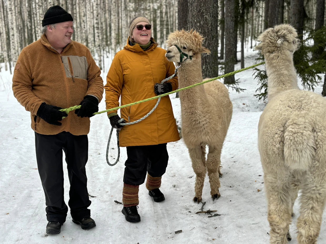 Merikeinun alpakkatilalalliset Juha ja Sari Ketosara vievät Suloa ja Sisua hoivakoti- ja päiväkotivierailuille hauskuuttamaan ihmisiä.