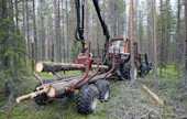 Puukaupat eivät kiinnosta metsänomistajia enää entiseen malliin.