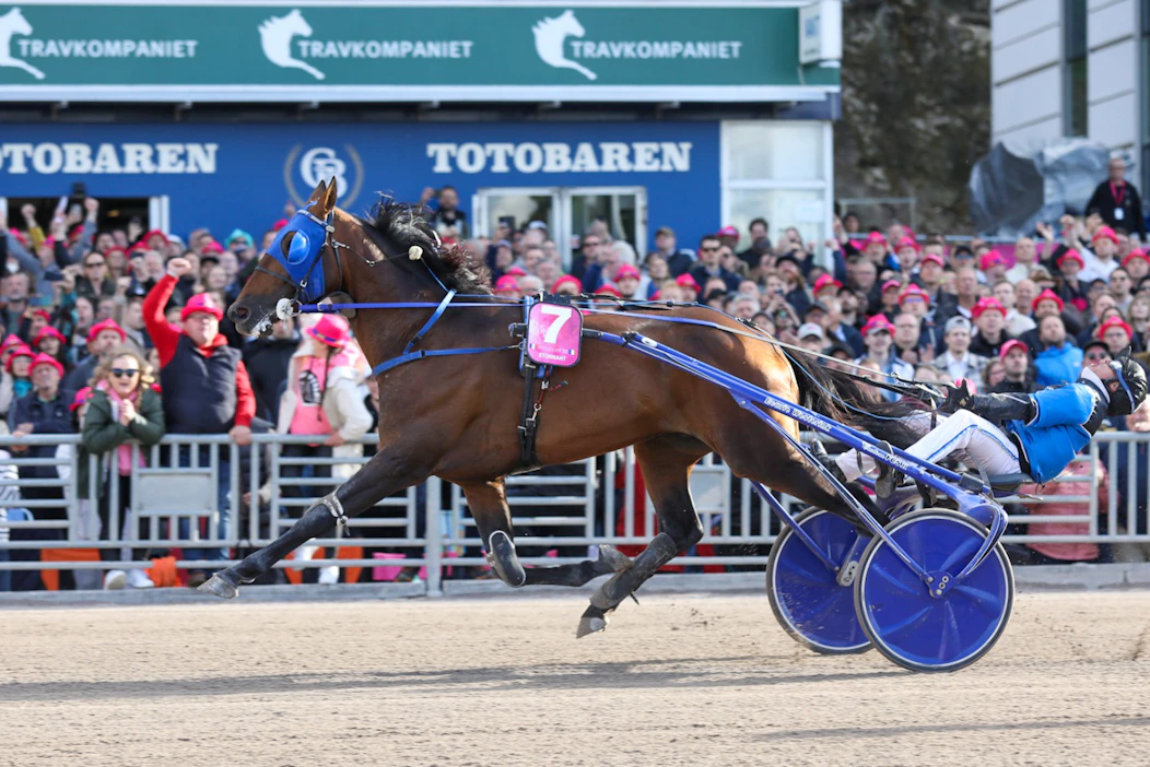 Anthony Barrier ei peitellyt tunteitaan Elitloppetin maalilinjalla sunnuntaina.