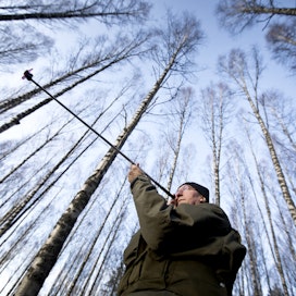Metsänhoitaja Hannu Liljeroos on tilastoinut suomalaisia metsätilakauppoja jo yhdeksän vuoden ajan.